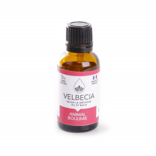 Fleurs de Bach pour animaux Velbecia Animal Boulimie